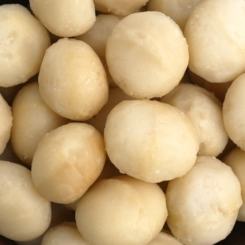 Nahaufnahme hochwertige naturbelassene Macadamia