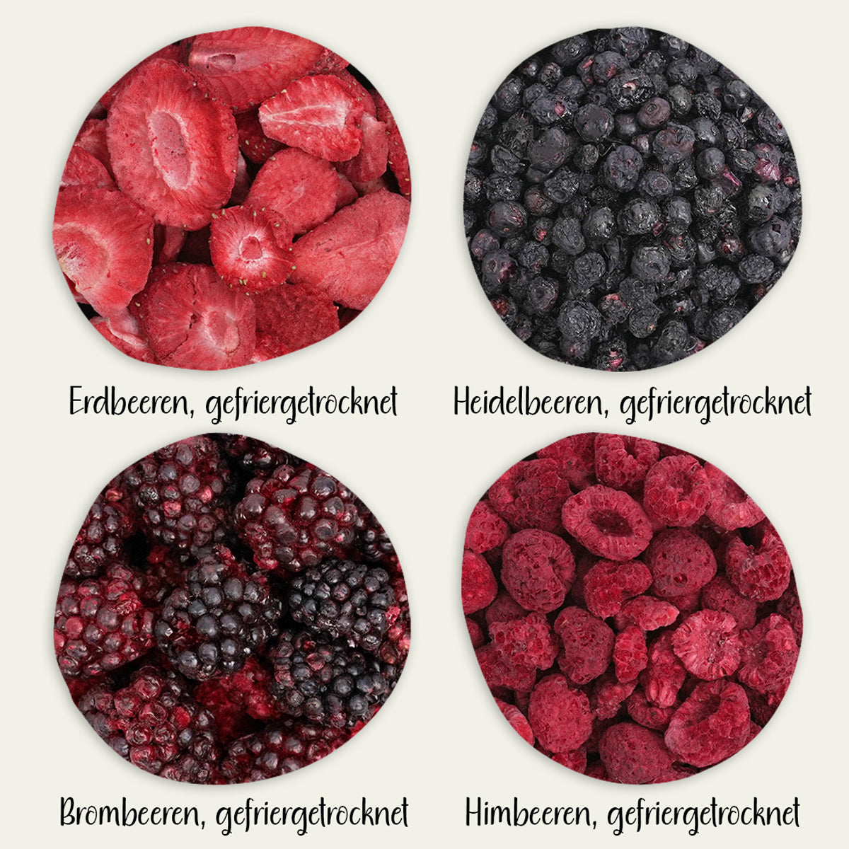 Gefriergetrocknete Erdbeeren, Himbeeren, Brombeeren und Heidelbeeren als Nahaufnahme