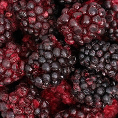 Brombeeren – gefriergetrocknet