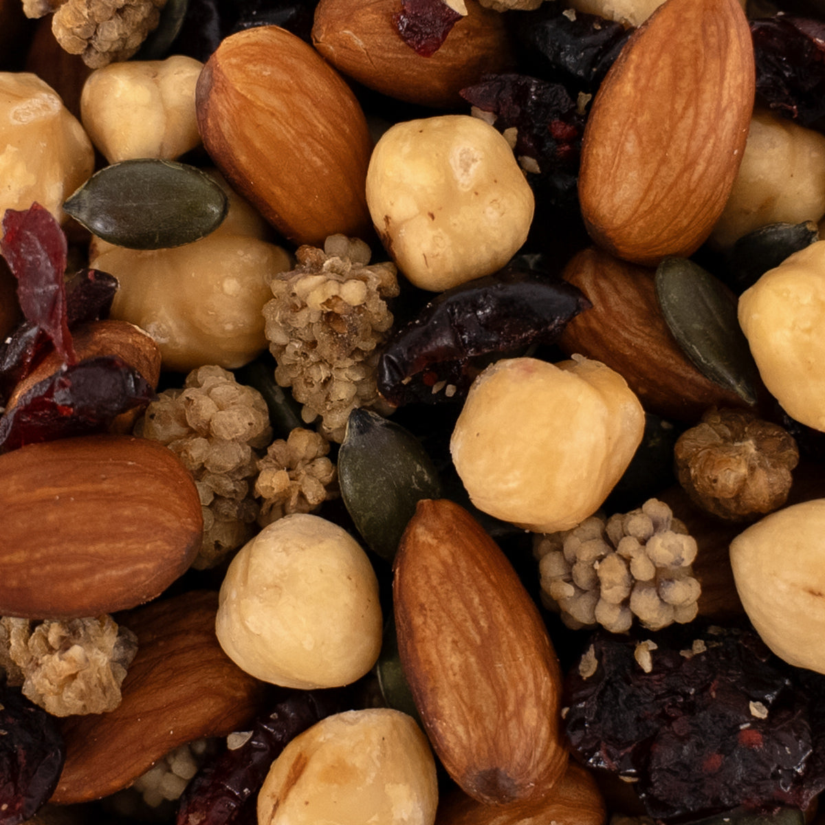 Nussmischung goldener Herbst mit Mandeln, Haselnüssen, Kürbiskernen, Cranberries, Maulbeeren als Nahaufnahme