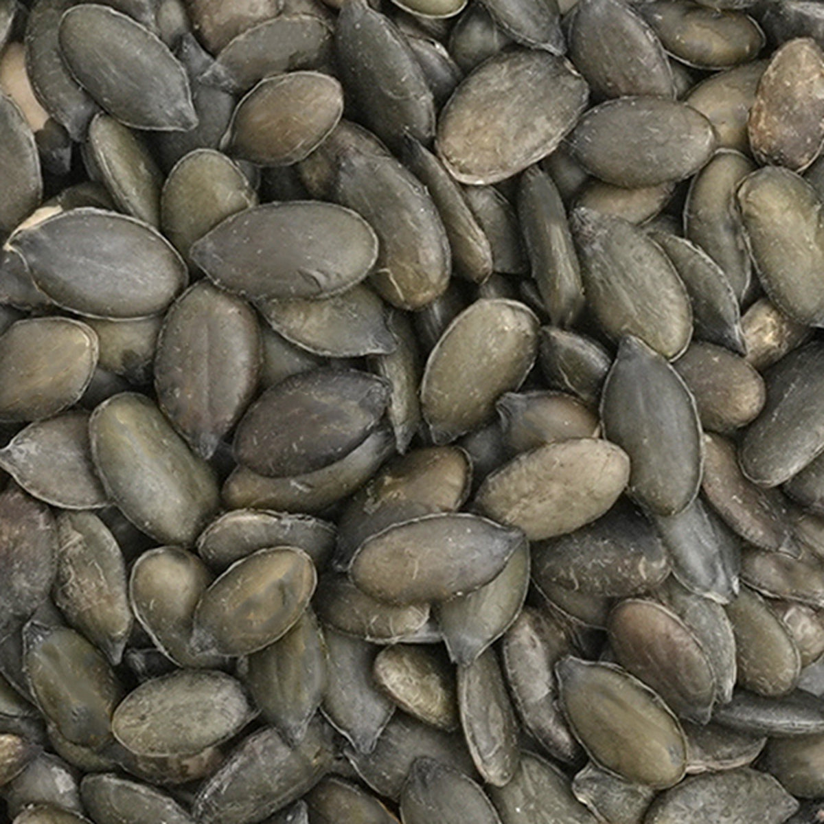 Nahaufnahme hochwertige naturbelassene Kürbiskerne