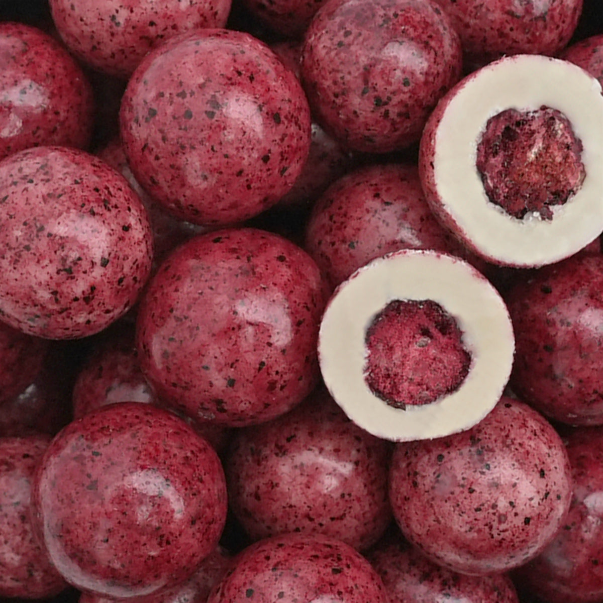 Nahaufnahme Schokolierte Frucht "Lady Bleue" Johannesbeere umhüllt mit Joghurtschokolade