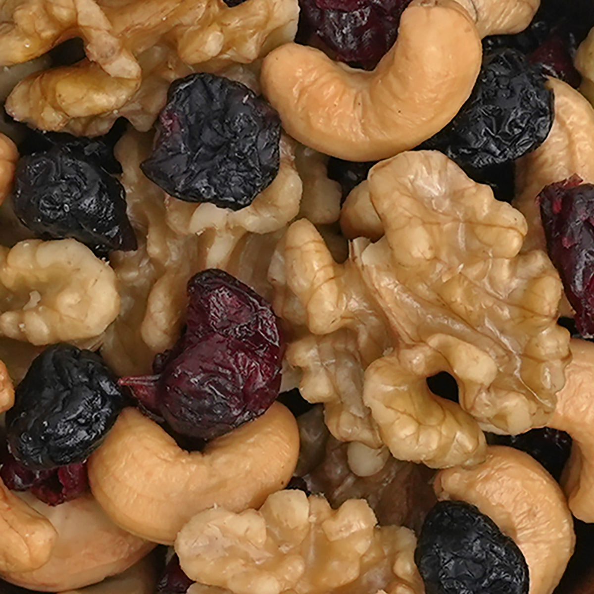 Nahaufnahme Nuss- und Fruchtmischung "Blaubeeren Melange" aus Walnüssen, Cashews, Blaubeeren und Cranberries