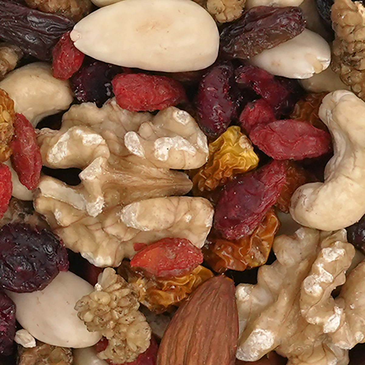 Nahaufnahme Nuss-und Fruchtmischung "Superfood" aus frischen Mandeln, Cashews, Walnüsse, Cranberries und mehr