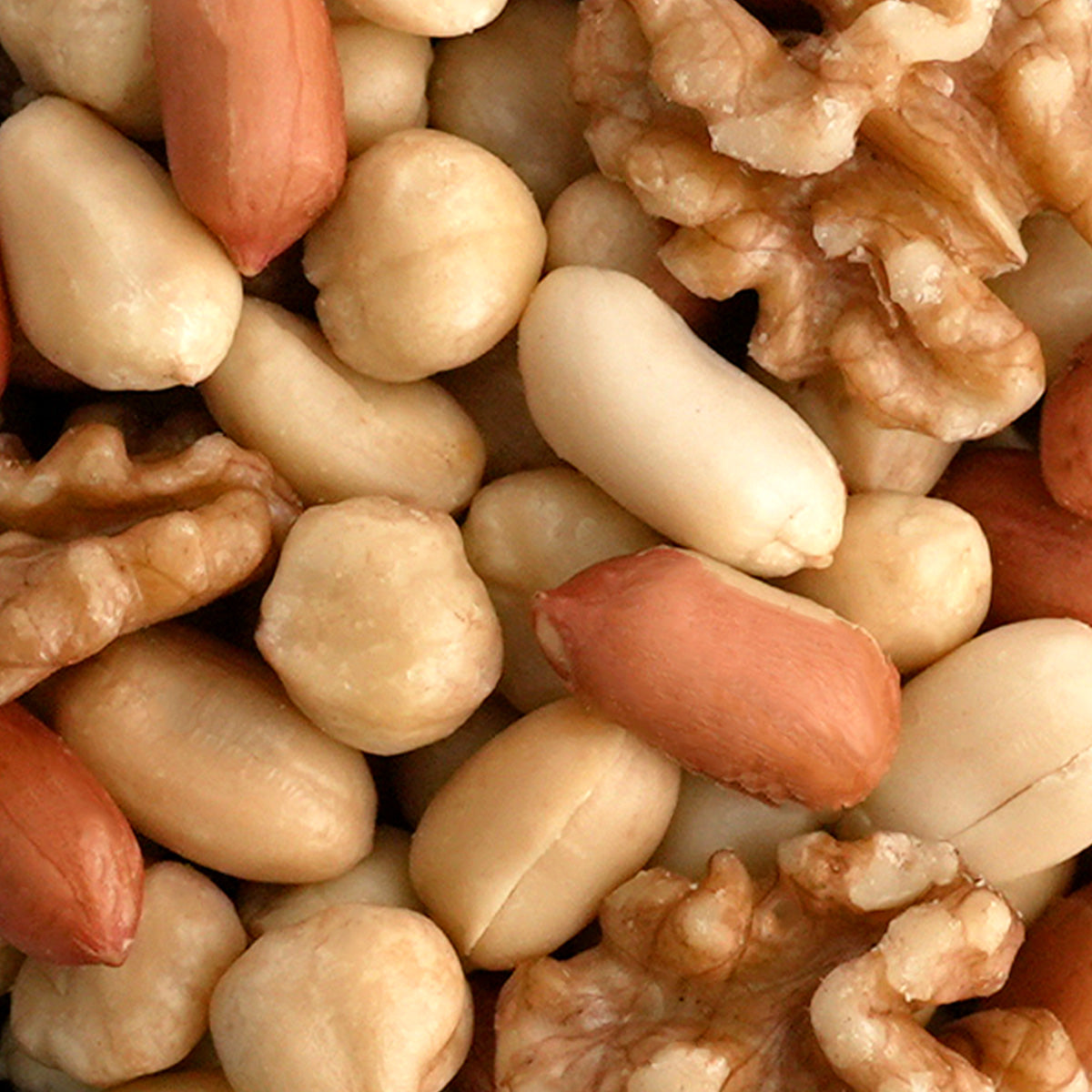 Nahaufnahme Nussmischung Skandinavien Mix aus aus Haselnüssen, Walnüssen und Erdnüssen